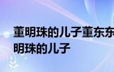 董明珠的儿子董东东大学本科读哪所大学 董明珠的儿子 