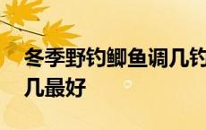 冬季野钓鲫鱼调几钓几最好 野钓鲫鱼调几钓几最好 