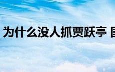 为什么没人抓贾跃亭 国家为什么不抓贾跃亭 