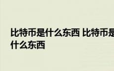 比特币是什么东西 比特币是什么时候开始暴涨的 比特币是什么东西 