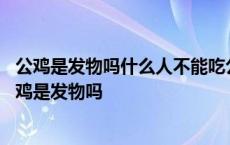 公鸡是发物吗什么人不能吃公鸡尿蛋白高的人有哪些忌口 公鸡是发物吗 