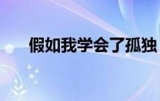 假如我学会了孤独 假如我再一次孤独 