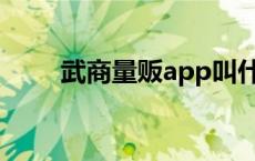 武商量贩app叫什么 武商量贩官网 