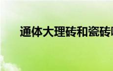 通体大理砖和瓷砖哪个好 通体大理石 