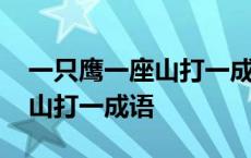 一只鹰一座山打一成语最囧游戏 一只鹰一座山打一成语 