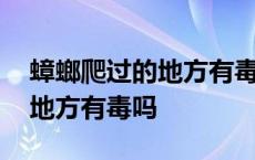 蟑螂爬过的地方有毒吗清除办法 蟑螂爬过的地方有毒吗 