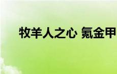 牧羊人之心 氪金甲 牧羊人之心氪金甲 