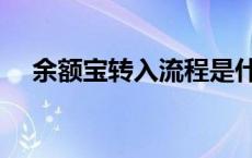 余额宝转入流程是什么 余额宝转入流程 