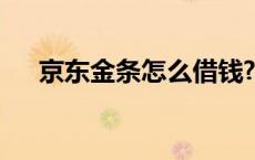 京东金条怎么借钱? 京东金条怎么借钱 