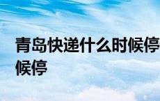 青岛快递什么时候停运2023 青岛快递什么时候停 