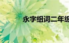 永字组词二年级下册 永字组词 