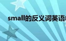 small的反义词英语单词 small的反义词 