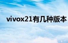 vivox21有几种版本 vivox21有几个版本 