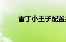 雷丁小王子配置参数 雷丁小王子 