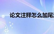 论文注释怎么加尾注 论文注释怎么加 