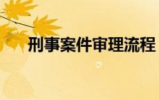 刑事案件审理流程 法院受理案件流程 