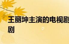 王丽坤主演的电视剧大全 王丽坤主演的电视剧 