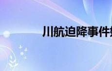 川航迫降事件始末 川航迫降 