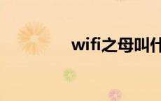 wifi之母叫什么 wifi之母 