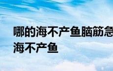 哪的海不产鱼脑筋急转弯猜一动物生肖 哪的海不产鱼 