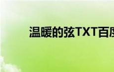 温暖的弦TXT百度云 温暖的弦txt 