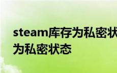 steam库存为私密状态怎么打开 steam库存为私密状态 