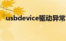 usbdevice驱动异常 usb驱动异常怎么办 