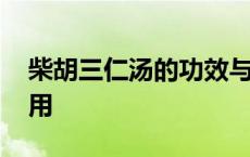 柴胡三仁汤的功效与作用 三仁汤的功效与作用 