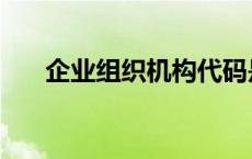 企业组织机构代码是哪几位 企业组织 