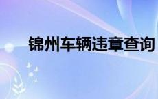 锦州车辆违章查询 锦州汽车违章查询 