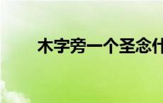 木字旁一个圣念什么 木字旁一个圣 