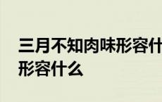 三月不知肉味形容什么的魅力 三月不知肉味形容什么 