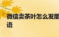 微信卖茶叶怎么发朋友圈 微信卖茶叶的广告语 