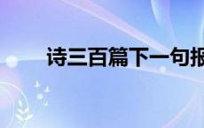 诗三百篇下一句报任安书 诗三百篇 