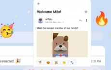 如何在Gmail中使用表情符号反应