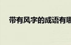 带有风字的成语有哪些 带有风字的成语 