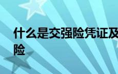 什么是交强险凭证及车船税照片 什么是交强险 