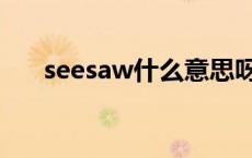 seesaw什么意思呀 seesaw什么意思 