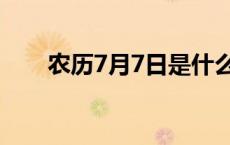 农历7月7日是什么节日子 农历7月7 