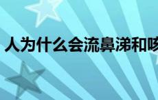 人为什么会流鼻涕和咳嗽 人为什么会流鼻涕 