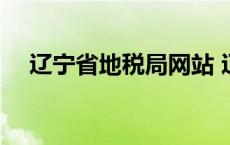 辽宁省地税局网站 辽宁省地税网上申报 