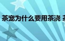 茶宠为什么要用茶浇 茶宠为什么浇水会变色 