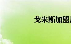 戈米斯加盟川崎 戈米斯 