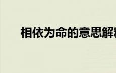 相依为命的意思解释 相依为命的意思 