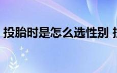 投胎时是怎么选性别 投胎时是怎么选父母的 