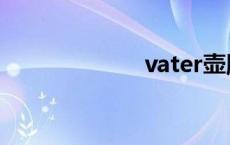 vater壶腹部 vat 