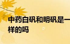 中药白矾和明矾是一样的吗 白矾和明矾是一样的吗 