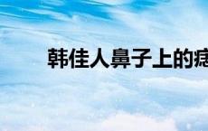 韩佳人鼻子上的痣面相 韩佳人鼻子 