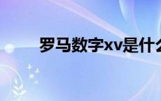 罗马数字xv是什么意思 罗马数字x 