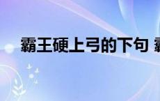 霸王硬上弓的下句 霸王硬上弓哈子意思 